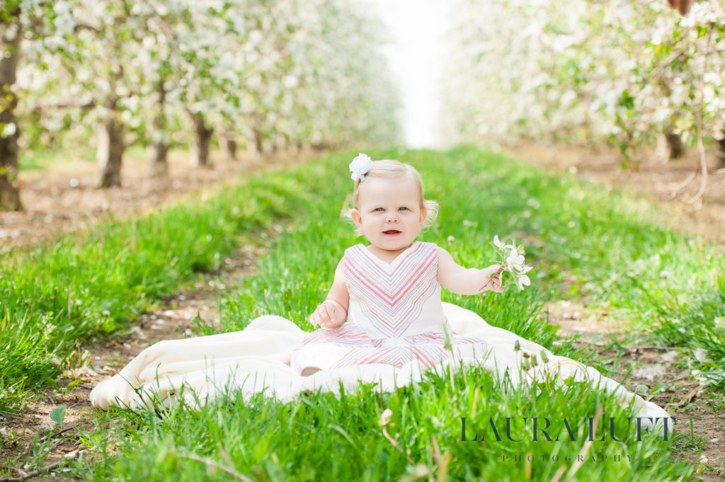 Elba New York Family Photographer-Family-mini sessions-spring-apple blossoms